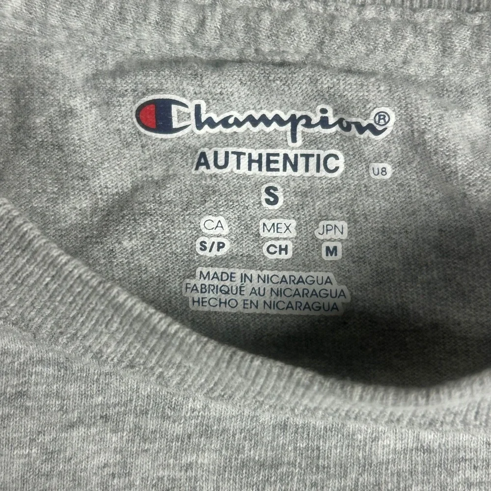 Champion Hofstra University Mens Small Gray Graphic T-Shirt Short Sleeve Tee - Picture 4 of 6